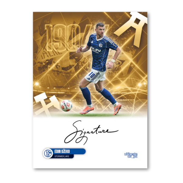 FC Schalke 04 Ein Leben Lang Hobby Box