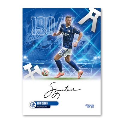 FC Schalke 04 Ein Leben Lang Hobby Box