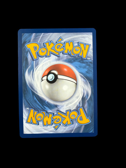 Schiggy 170/165 Full Art