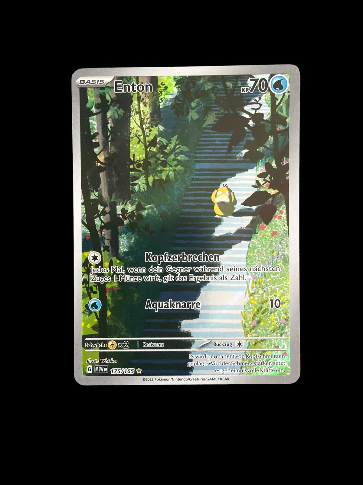 Enton 175/165 Full Art
