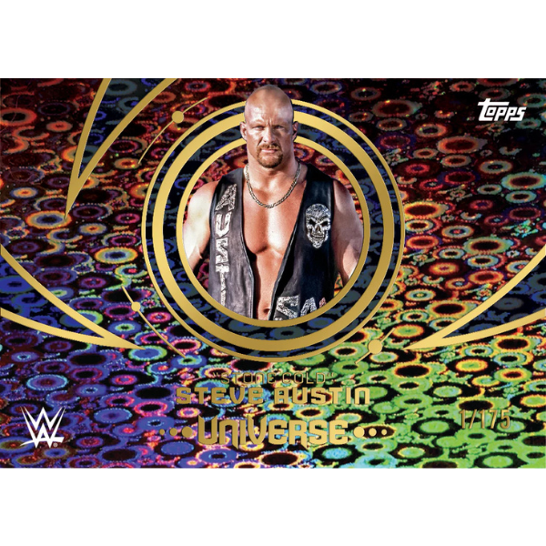 Topps WWE Universe Hobby Box 2025 (Wrestling)